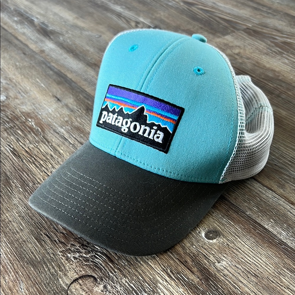 Patagonia Blue and Gray Trucker Hat